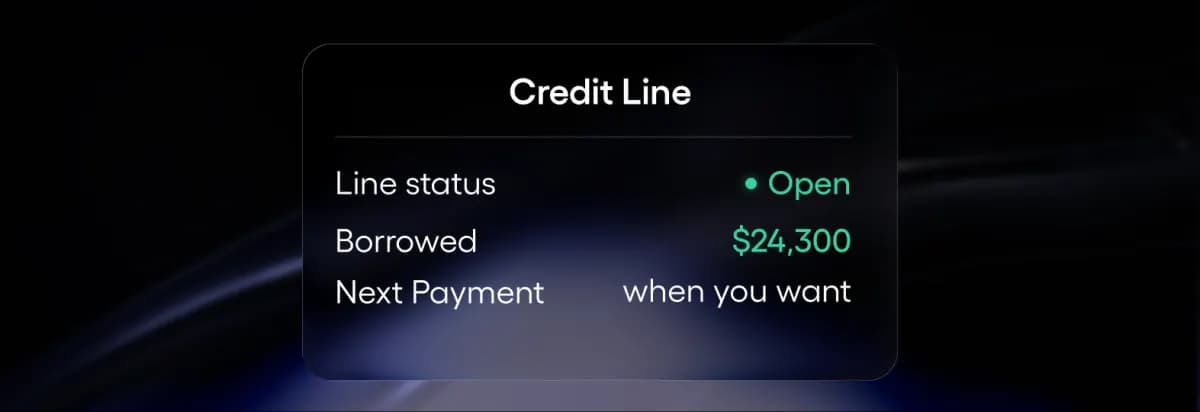 Open-ended Bitcoin-backed credit line